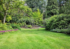 Optimiser l'expérience du jardin à Montliard